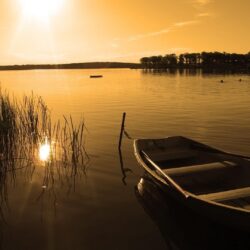 Rowing boat on the lake among the reeds. Android wallpapers for free