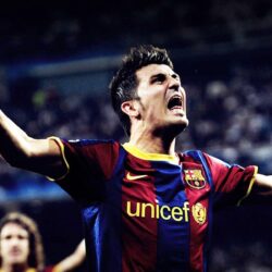David Villa Wallpapers and Pictures