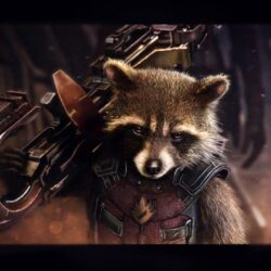 Rocket Raccoon wallpapers