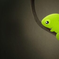 Cute Chameleon wallpapers
