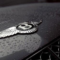 Bentley Logo Wallpapers, Pictures, Image