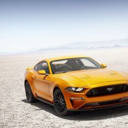 Wallpapers Ford Mustang, 2018, HD, Automotive / Cars,