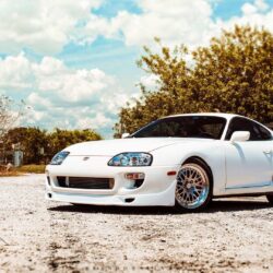 White Supra Wallpapers Free