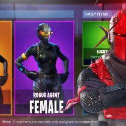 Fortnite CUSTOMIZE ALL SKINS! *NEW* MALE RED KNIGHT