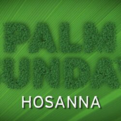 Palm Sunday Hosanna King Jesus Free Hd Wallpapers