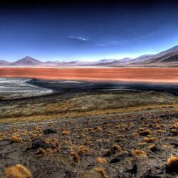 Lakes: Bolivia Laguna Colorada Wallpapers Nature Windows 8 for HD 16