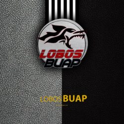 Download wallpapers Lobos BUAP, 4k, leather texture, logo, Mexican