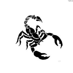 Free Designs Contour Of Scorpion Tattoo Wallpapers Picture #