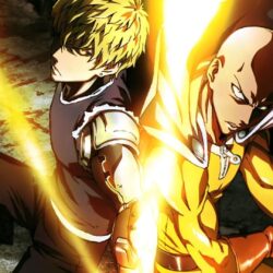 14+ Saitama One Punch Man wallpapers HD Download