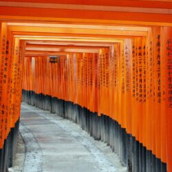Fushimi Inari Taisha, Kyoto, Japan ❤ 4K HD Desktop Wallpapers for 4K