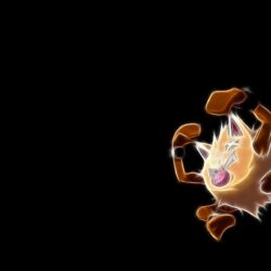 16 Fighting Pokémon HD Wallpapers