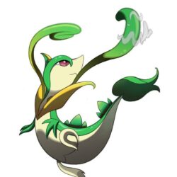 Image of Snivy Evolution Wallpapers