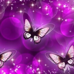Butterfly Purple Art Wallpapers Wallpapers