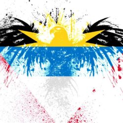 Eagles hawk flags antigua and barbuda wallpapers