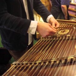 Amazing Hammered Dulcimer Musician