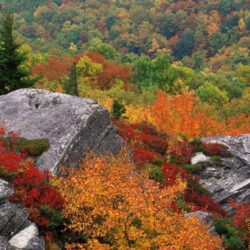 Blue Ridge Parkway North Carolina Autumn HD desktop wallpapers