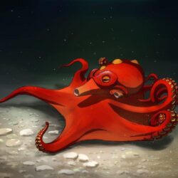 Octillery by coldfire0007