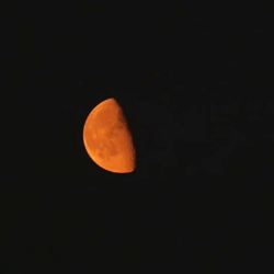 Orange waning gibbous moon against a black night sky Stock Video