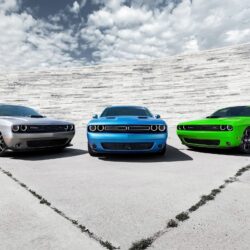 2015 Dodge Challenger Cars Wallpapers in format for free download