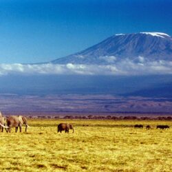 Kilimanjaro Wallpapers, Amazing 43 Wallpapers of Kilimanjaro, Top