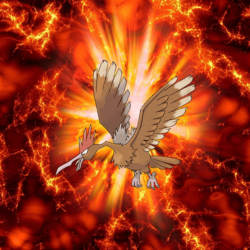 022 Fire Pokeball Fearow Onidrill Spearow