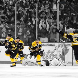 Tuukka Rask Boston Bruins wallpapers Hockey Sport Wallpapers 2560×1440