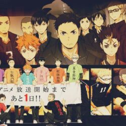 Anime Karasuno High Volleyball Team Haikyuu wallpapers