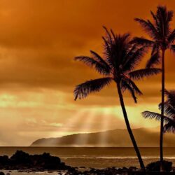 Hawaiian Sunset HD Wallpapers
