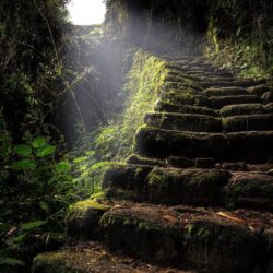 woodendreams: “ Inca Trail, Peru