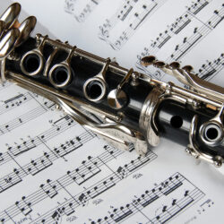 Which Musical Instrument Are You Suited For?