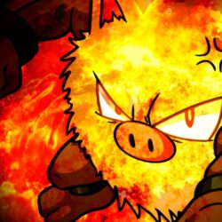Awful People Play with Overheat Primeape in OU