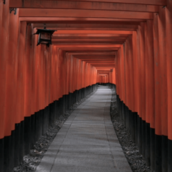 Red torii gates at Fushimi