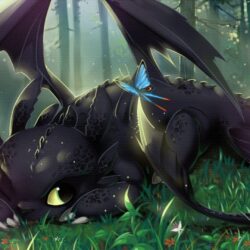 How to Train Your Dragon wallpapers