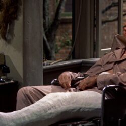 Rear Window