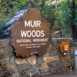 Muir Woods National Monument, San Francisco, CA