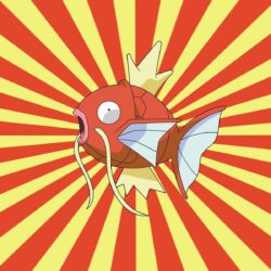 pokemon magikarp wallpapers High Quality Wallpapers,High