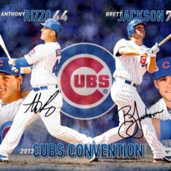 Cubs Convention Insider: January 2013