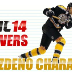 Hockey player Boston Zdeno Chara wallpapers and image