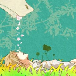 Natsume Yuujinchou Wallpapers