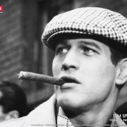 53 best image about Paul Newman