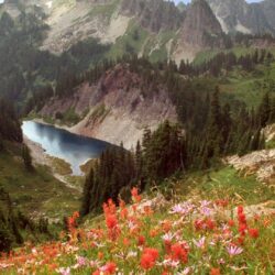 Download Wallpapers cliff lake, idaho, mountains, flowers