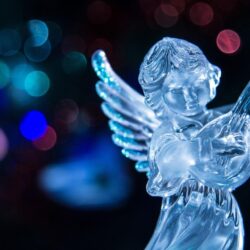 lights new year christmas angel lute HD wallpapers