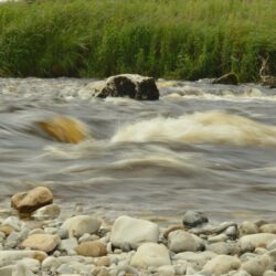 Free stock photo of flowing, river, riverbank