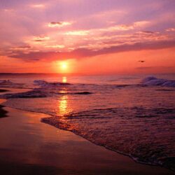 The Beach : sunset beach