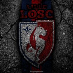 Download wallpapers Lille, logo, art, Liga 1, soccer, Lille OSC