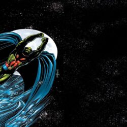 MARTIAN MANHUNTER superhero d