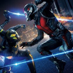 Ant Man and the Wasp Movie Computer Wallpapers 65442 px
