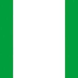 Nigeria Flag Stripes