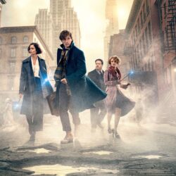 Wallpapers Fantastic Beasts and Where to Find Them, HD, 4K, 5K
