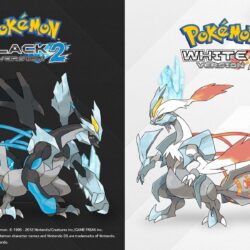 Pokemon White 2 PC Box Wallpapers ✓ Labzada Wallpapers